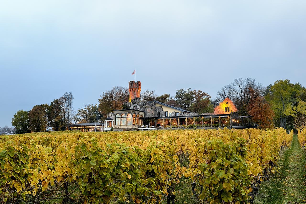 גאיסנהם Relais & Chateaux Hotel Burg Schwarzenstein מראה חיצוני תמונה